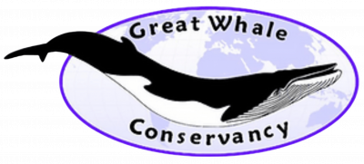 Great Whale Conservancy.