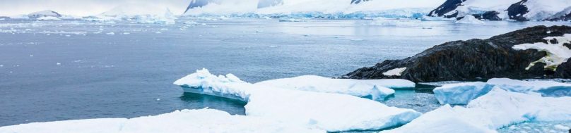 Tourist in Antarctica