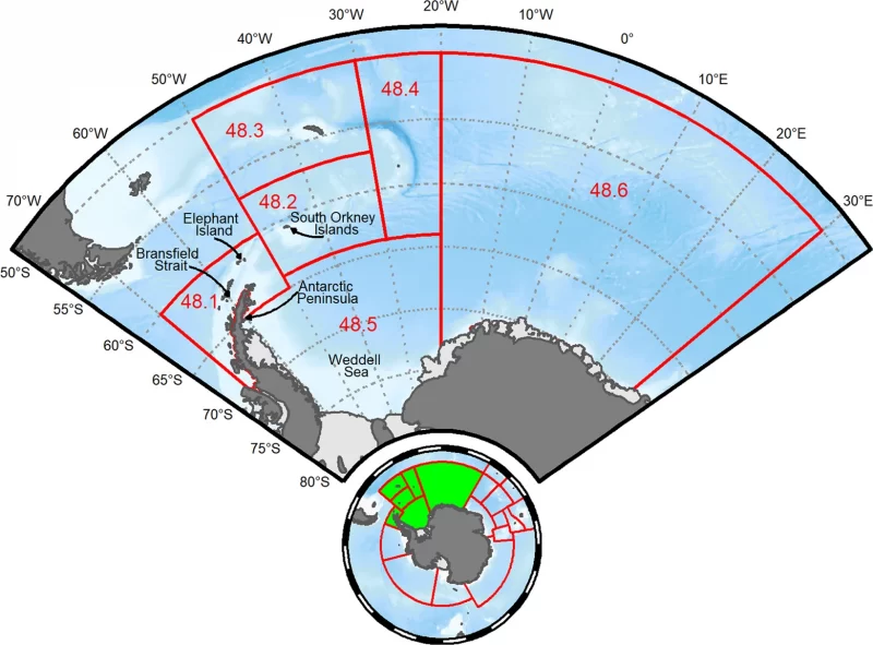 Convention area 48 (green area) of the Commission for the Conservation of Antarctic Marine Living Resources (CCAMLR) and its Subareas.