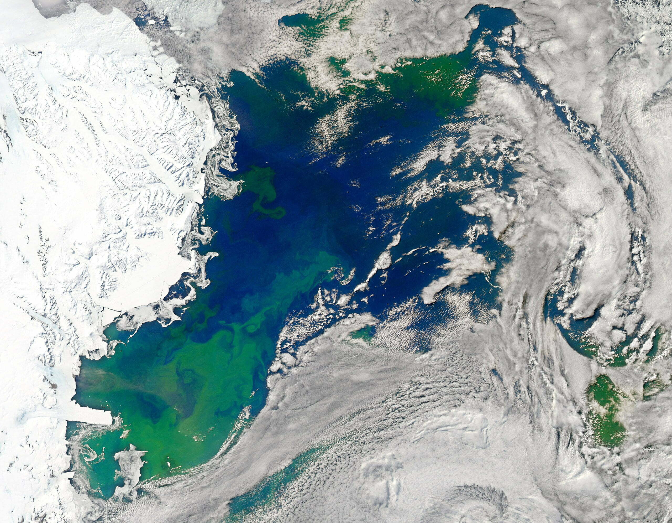 Phytoplankton bloom in Ross Sea_NASA Goddard