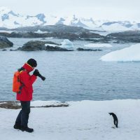Tourist and penguin