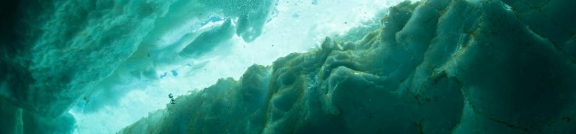 Under ice algae