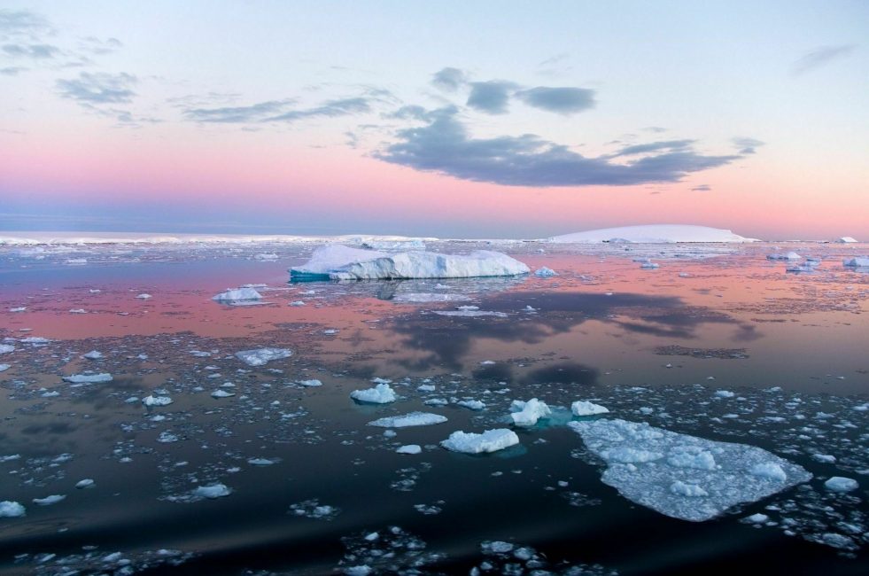 Weddell sea