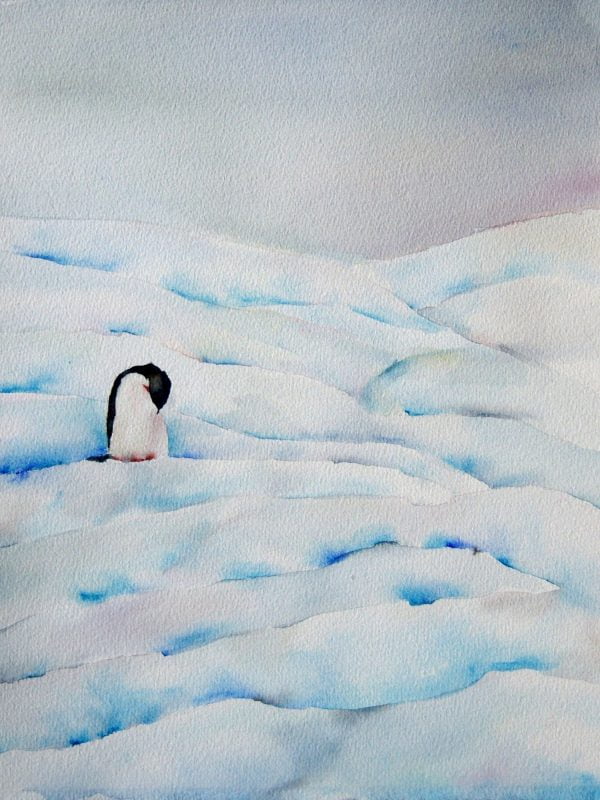 Lisa Goren, Lone Penguin