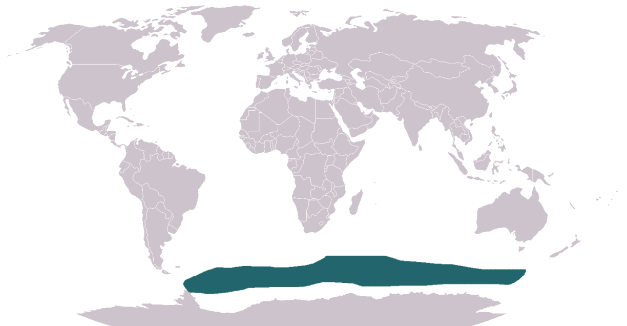 Antarctic Fur Seal distribution