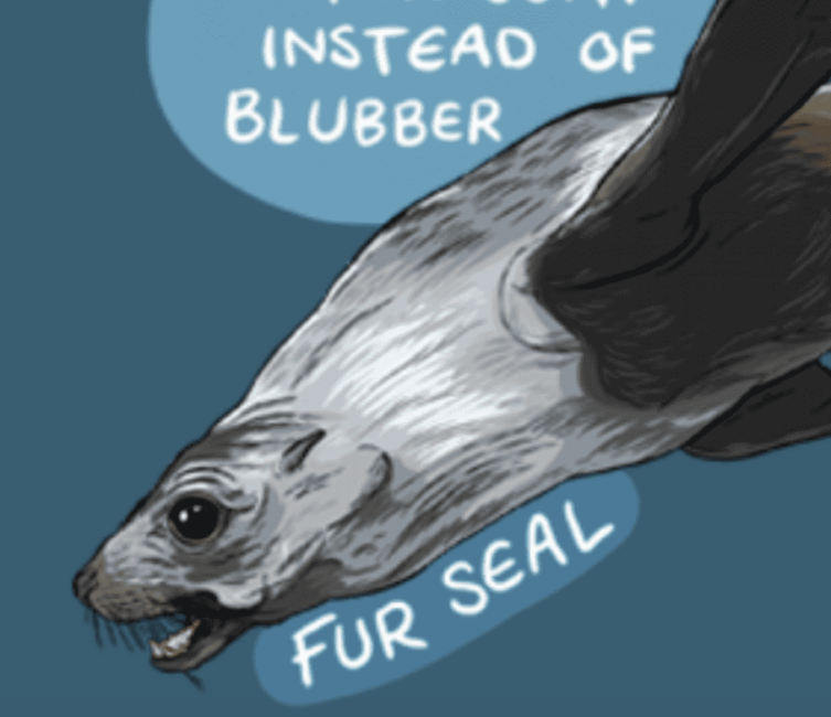 Fur Seal