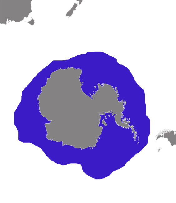 Lobodon carcinophagus distribution