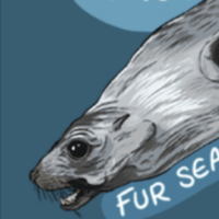 cropped fur seal