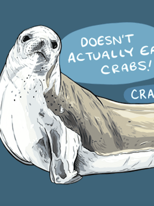 Crabeater