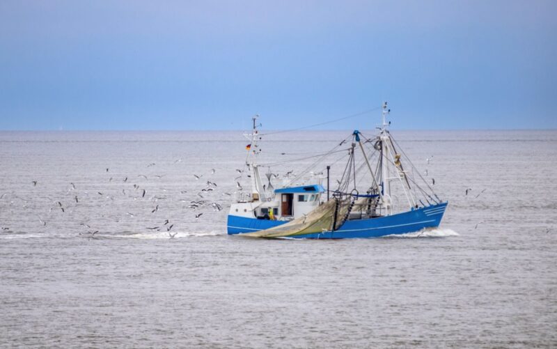 Fishing vessel
